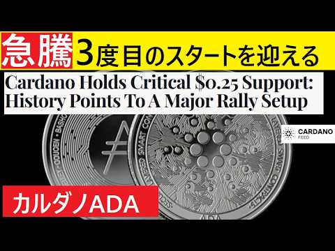 【中堅投資家】0.25㌦からの3㌦シナリオ「実績あるポイント解説」（翻訳要約） サムネイル
