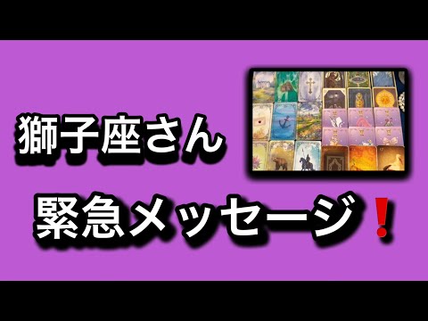 【最高の1月を迎えた✨獅子座さんへのメッセージ💌】⚡️😱全体運⭐️仕事運⭐️恋愛運🩷人間関係🩷ガッツリ読み解きました🃏