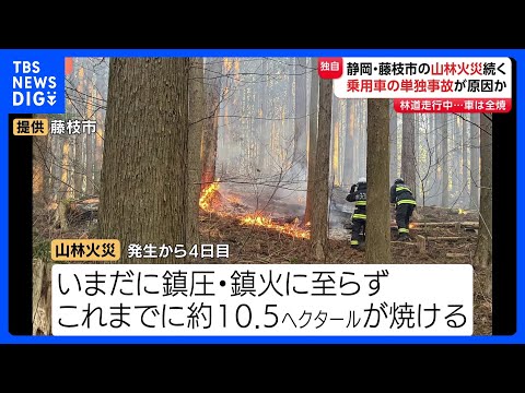 静岡・藤枝市の山林火災　現場から全焼した乗用車1台見つかる この車の単独事故による出火が原因で山林に燃え移ったか　火災…