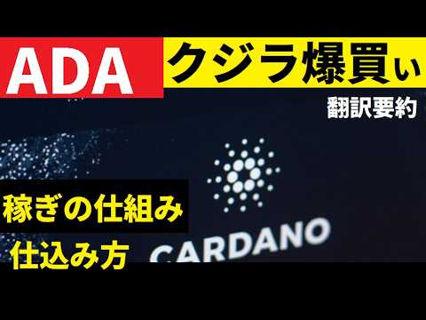 【中堅投資家】ADAクジラの爆買い続く！3月末に冒頭・供給ショックか（翻訳要約）