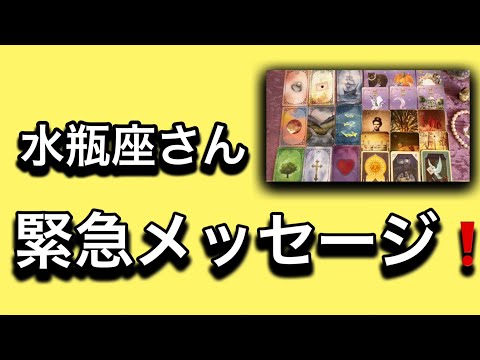 【最高の1月を迎えた✨水瓶座さんへのメッセージ💌】⚡️😱全体運⭐️仕事運⭐️恋愛運🩷人間関係🩷ガッツリ読み解きました🃏