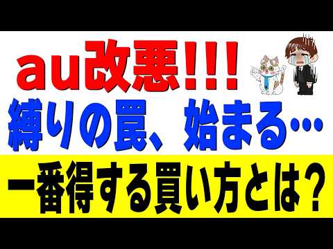 auスマホ分割払いの大改悪を解説！結局「〇〇で買って〇〇で売る」が最強 サムネイル