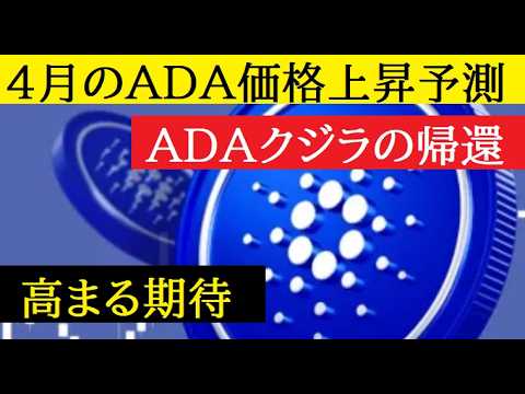 【中堅投資家】カルダノADA4月は価格上昇に期待（クジラの増加） サムネイル