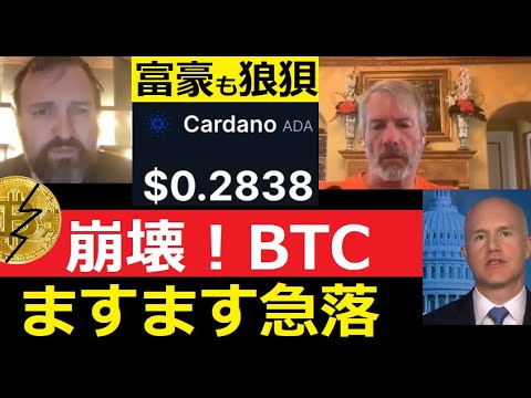 【中堅投資家】爆弾発言！マイケルセイラー・チャールズホスキンソン サムネイル