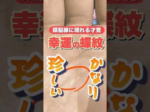奇跡の蝶紋　頭脳線に現れた吉相 手相 手相占い  占い  女性  50代 サムネイル