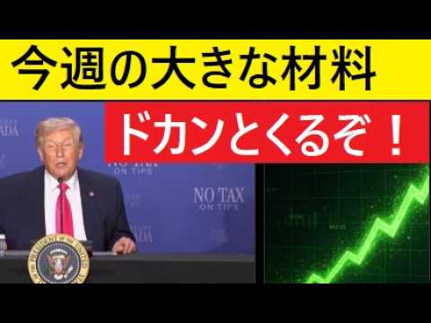 【中堅投資家】ポジション持っていますか？「トランプの言葉」 サムネイル