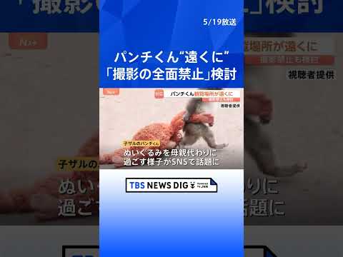 パンチくんで話題の千葉・市川市動植物園　サル山への侵入事件受け「撮影の全面禁止」も検討　サル山の柵に近づけないよう観覧…