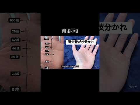 人生の発展するタイミングを知れる手相 占い 今日から開運 手相 手相占い サムネイル