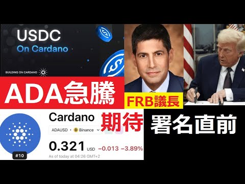 【中堅投資家】USDCとADAの組み合わせはなぜ価格急騰を期待させるのか？ サムネイル