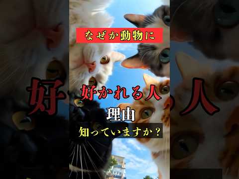 なぜか動物に好かれる人の理由知っていますか？ 占い スピリチュアル 動物 犬 shorts サムネイル