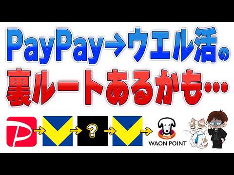 【裏技？】PayPayポイントでウエル活…！？規約から見えた「ポイントロンダリング」の仮説を解説 サムネイル