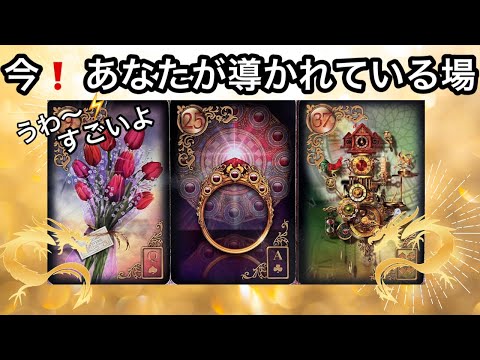【目に止まった方へ⭐️】まさに今❗️あなたが導かれている場所❤️現実が大きく動きます⭐️ガッツリ読み解きます サムネイル