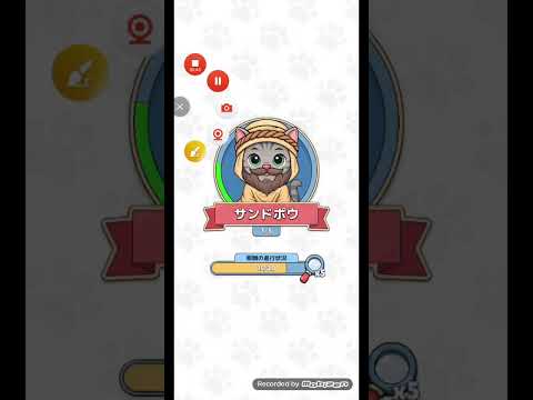 猫ちゃんを探せ(レベル2195ステージ2195)攻略 サムネイル