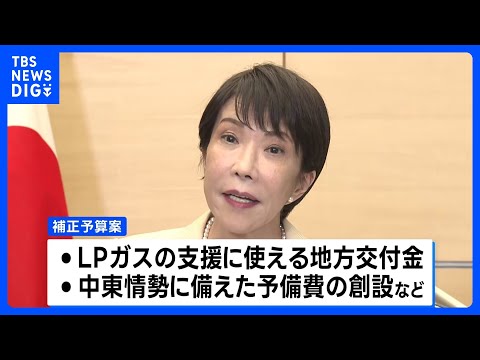 今年度補正予算案　来月3日に国会へ提出方針｜TBS NEWS DIG サムネイル