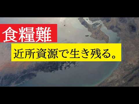 【中堅投資家】令和の食糧危機を乗り越える（ホルムズ海峡クライシス） サムネイル