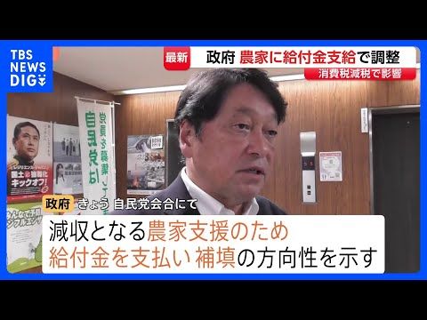 食料品の消費税減税をめぐり農家に給付金を検討　政府｜TBS NEWS DIG
