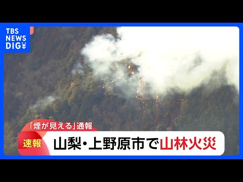 【山林火災】「煙が見える」防災ヘリ2機が消火活動　山梨・上野原市　けが人は確認されず｜TBS NEWS DIG サムネイル