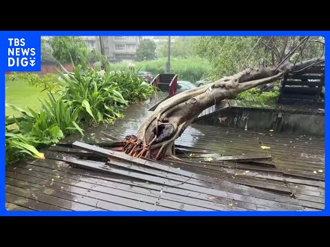台風9号の影響　台湾で113人けが、倒木や建物損壊などの被害報告2150件以上｜TBS NEWS DIG