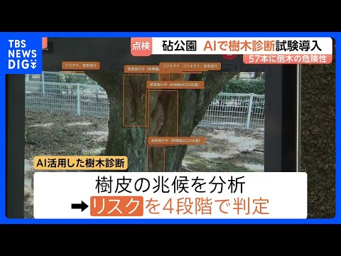 立ち入り制限も…倒木相次ぐ東京・砧公園でAI活用した樹木診断を試験的に開始　AI活用の目的は「効率化やスピードアップ」…