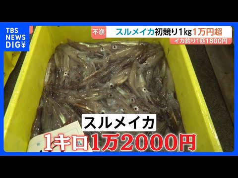 スルメイカ初競り1kg1万2000円！ 令和で最高値“庶民の味”が高級品に｜TBS NEWS DIG