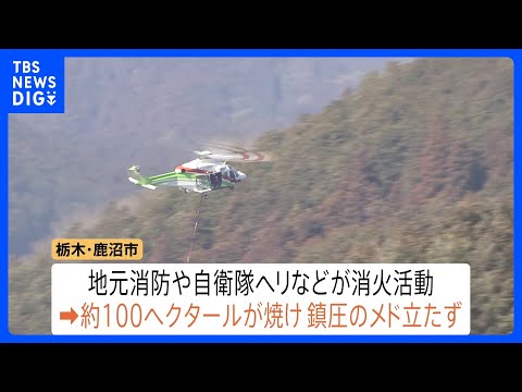 関東各地で山火事相次ぐ　自衛隊ヘリなどが消火活動　栃木・鹿沼市　茨城・常陸太田市　ともに未だ延焼続く　神奈川・小田原市…