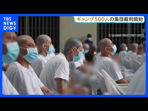 中米エルサルバドル「世界で最も恐ろしい」刑務所で、ギャングメンバー約500人の集団裁判が始まる｜TBS NEWS DIG サムネイル