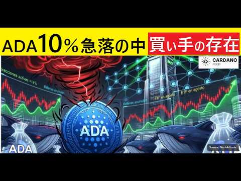 【中堅投資家】カルダノ10％価格下落の中でさらに買い集めるクジラの思惑（翻訳要約）ADA/XRP/BTC サムネイル