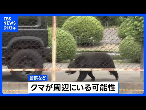 男女4人襲って工場に居座ったクマ 自力で窓の鍵開けて逃走か　自ら蛇口開けて水飲む姿も…「極めて知能性のあるクマ」 福島… サムネイル