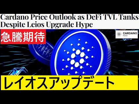【中堅投資家】カルダノADAに価格急騰期待「レイオス」翻訳要約 サムネイル