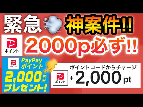 【絶対早く見て】明日からPayPay2000p必ず…‼︎さらにQUOカードやdポイントも！！！！ サムネイル