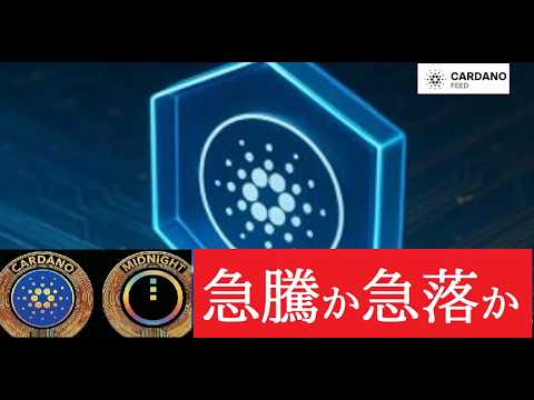 【中堅投資家】カルダノの運命は（翻訳要約） サムネイル