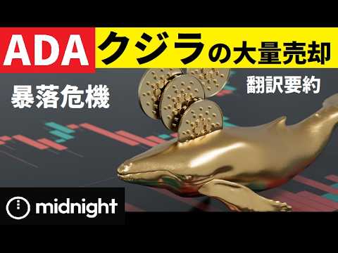 【中堅投資家】ADAにクジラの大量売却で暴落危機（翻訳要約） サムネイル