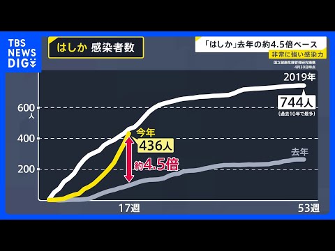 【はしか急増】今年の感染者数400人超え　去年の約4.5倍ペースで拡大　推奨される予防策とは？【news23】｜TBS… サムネイル
