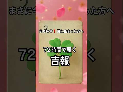 【まさに今❗️目に止まった方へ】 占い タロットルノルマン美音タロット サムネイル