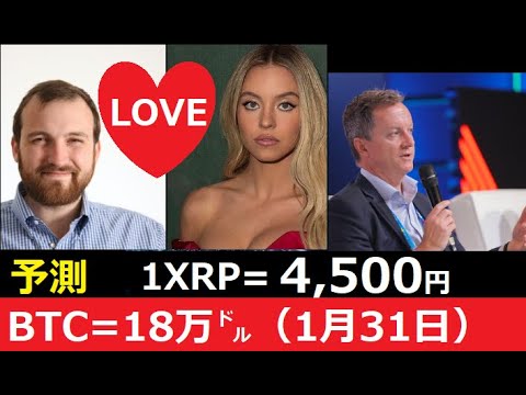 【中堅投資家】スキャンダルとBTC・XRP価格予想 サムネイル