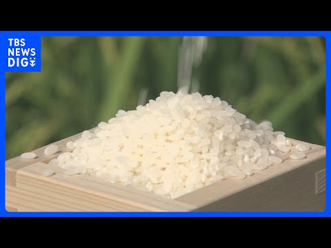 コメの業者間での取引価格が3か月連続で下落　在庫水準の高まりで｜TBS NEWS DIG