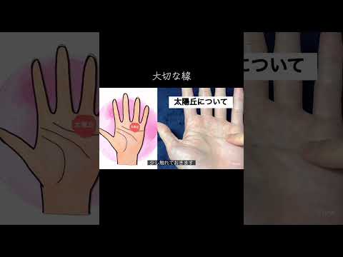 手相で最も大切な太陽丘と太陽線 占い 今日から開運 手相 手相占い サムネイル