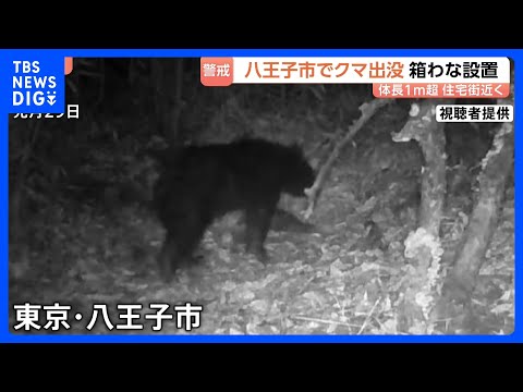 東京・八王子市の雑木林に体長1m超のツキノワグマ1頭が出没「やばいかっていう感じ」 すぐ脇には小学校や住宅街　市や警察… サムネイル