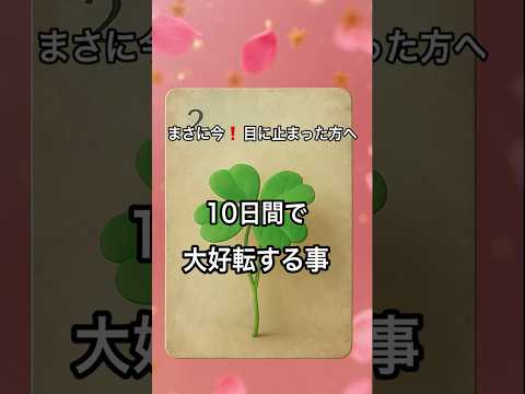 【まさに今❗️目に止まった方へ】 占い タロットルノルマン美音タロット サムネイル