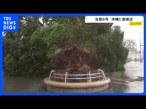 【台風6号最接近】最大瞬間風速40.6m 沖縄・うるま市で6月観測史上最大に　県内で少なくとも6人けが　各地で街路樹倒…