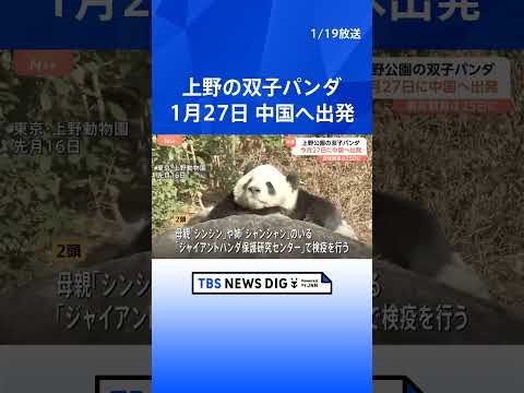 上野の双子パンダ 中国への返還に向け、今月27日に日本を出発　翌日に中国・四川省のジャイアントパンダ保護研究センターへ…