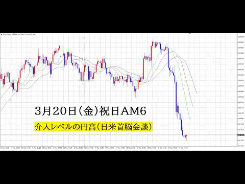 【中堅投資家】FX：今日は祝日「のんびり過ごしましょう」 サムネイル