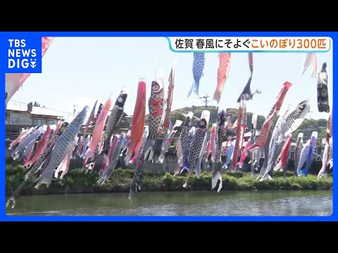 優雅に泳ぐこいのぼり300匹 春の風物詩「川上峡春祭り」 佐賀｜TBS NEWS DIG サムネイル