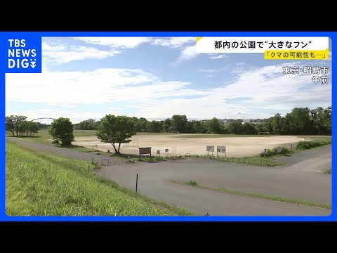都内の公園で「大きなフン」 野生動物の専門家「クマの可能性も捨てきれない」JR立川駅から4キロほど離れた東京・昭島市の…