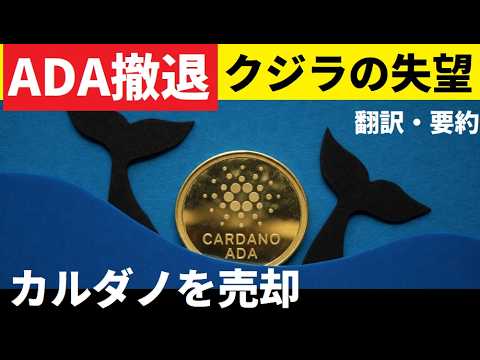 【中堅投資家】カルダノに大量売りも確認！3月末が全ての分岐点！ サムネイル