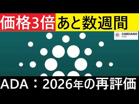 【中堅投資家】カルダノADA今後数週間で価格3倍の衝撃記事（翻訳要約） サムネイル