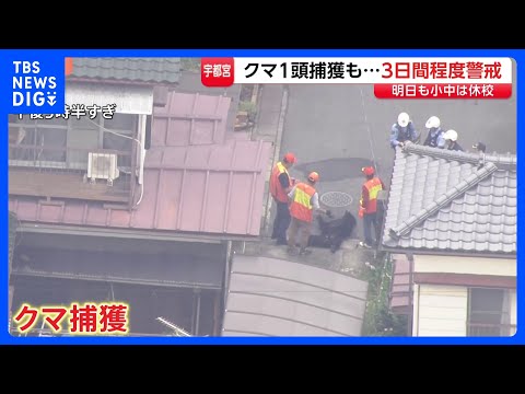 クマ1頭捕獲も“別のクマ出没の可能性” 宇都宮市は3日間程度 警戒続ける　市立小中学校あすも休校｜TBS NEWS D… サムネイル