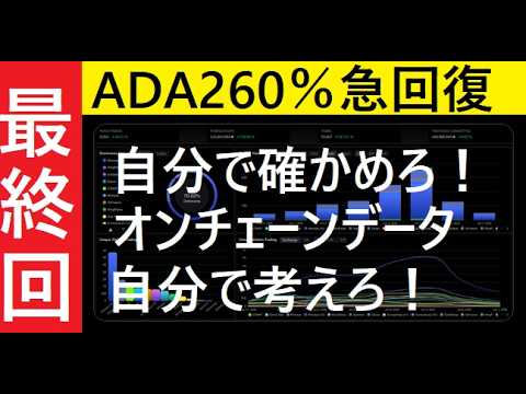【中堅投資家】第三部「投資家なら自分で考えろ」（カルダノADAのオンチェーンデータ） サムネイル