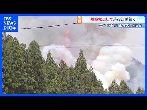 岩手・大槌町の山林火災4日目　1000人超の緊急消防援助隊の活動本格化　鎮圧に向けた先行き見通せず｜TBS NEWS… サムネイル
