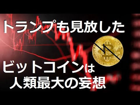 【中堅投資家】ビットコインはもう上昇しない（記事要約） サムネイル